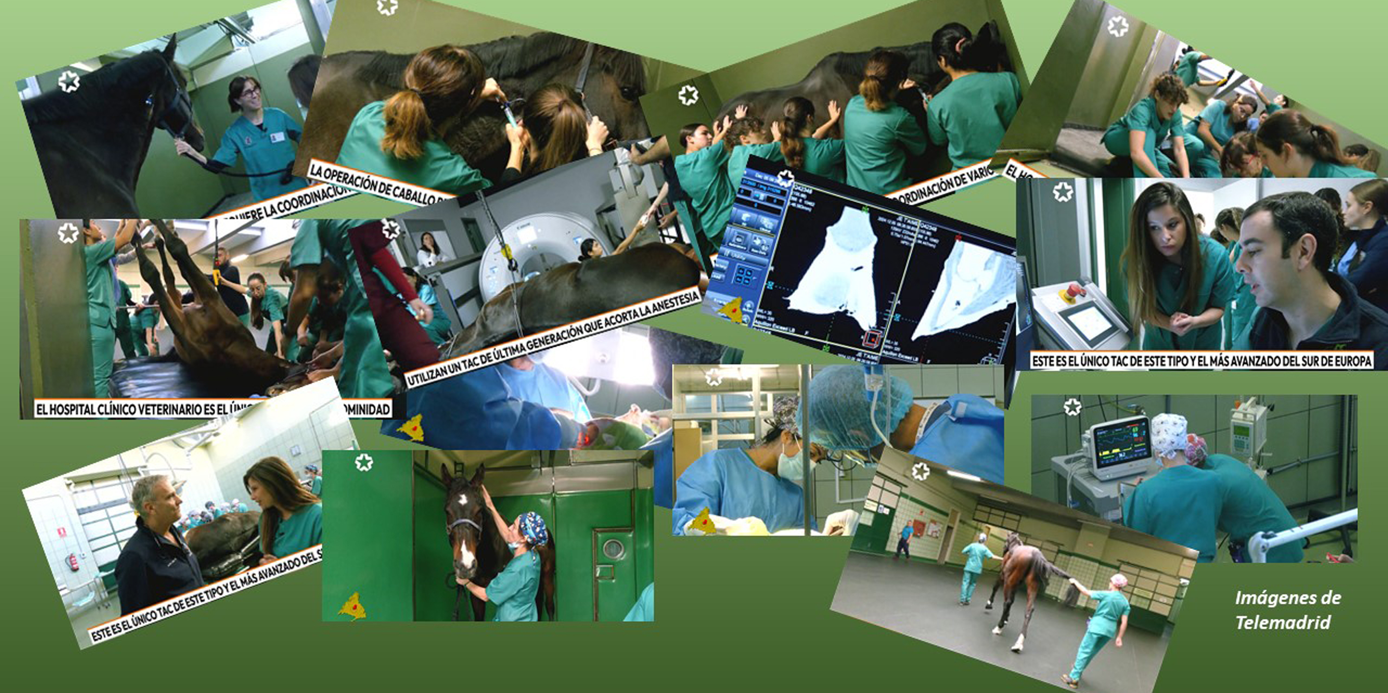 Reportaje de Telemadrid rodado en el HCVC